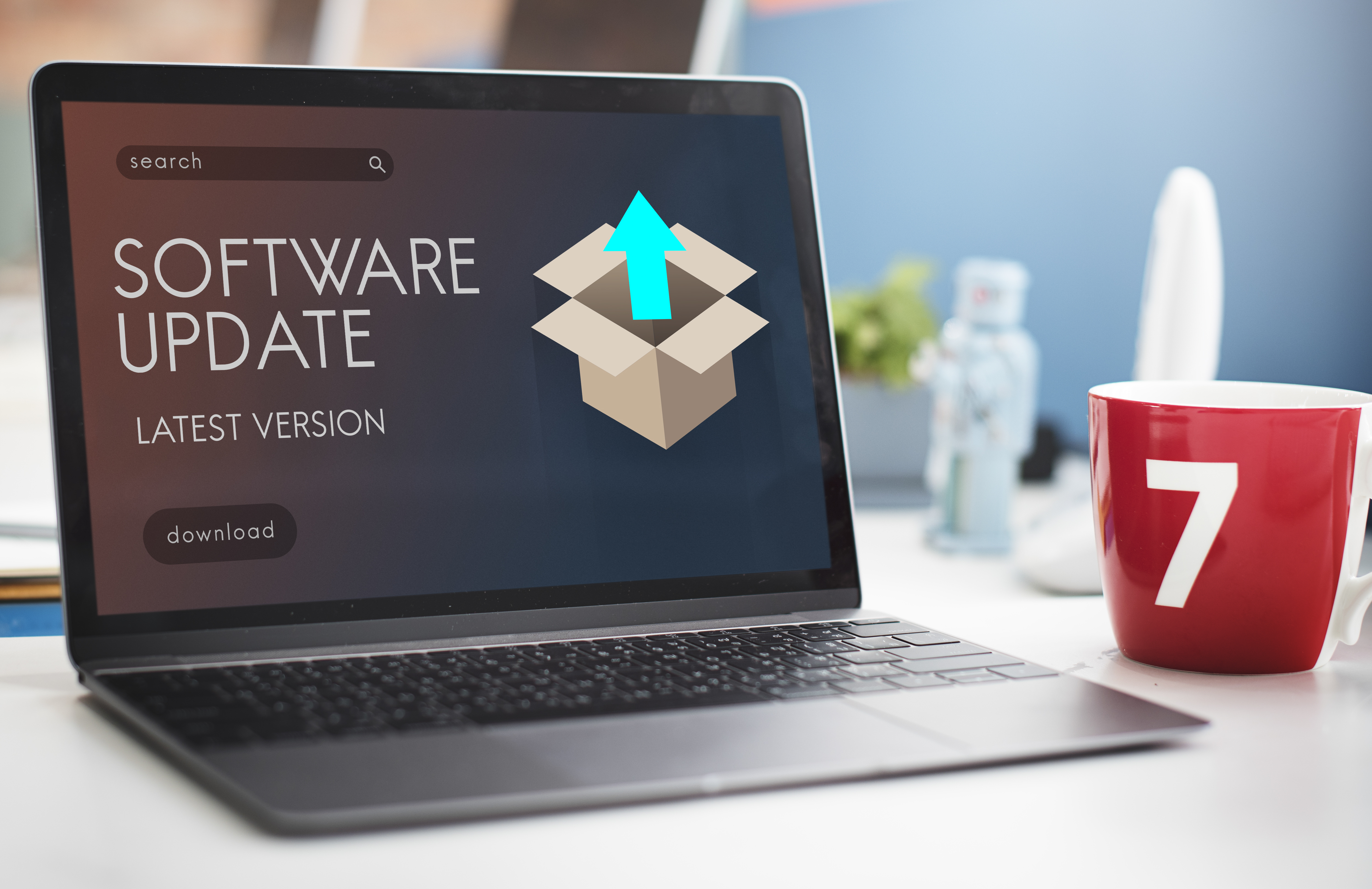 Software Renewals